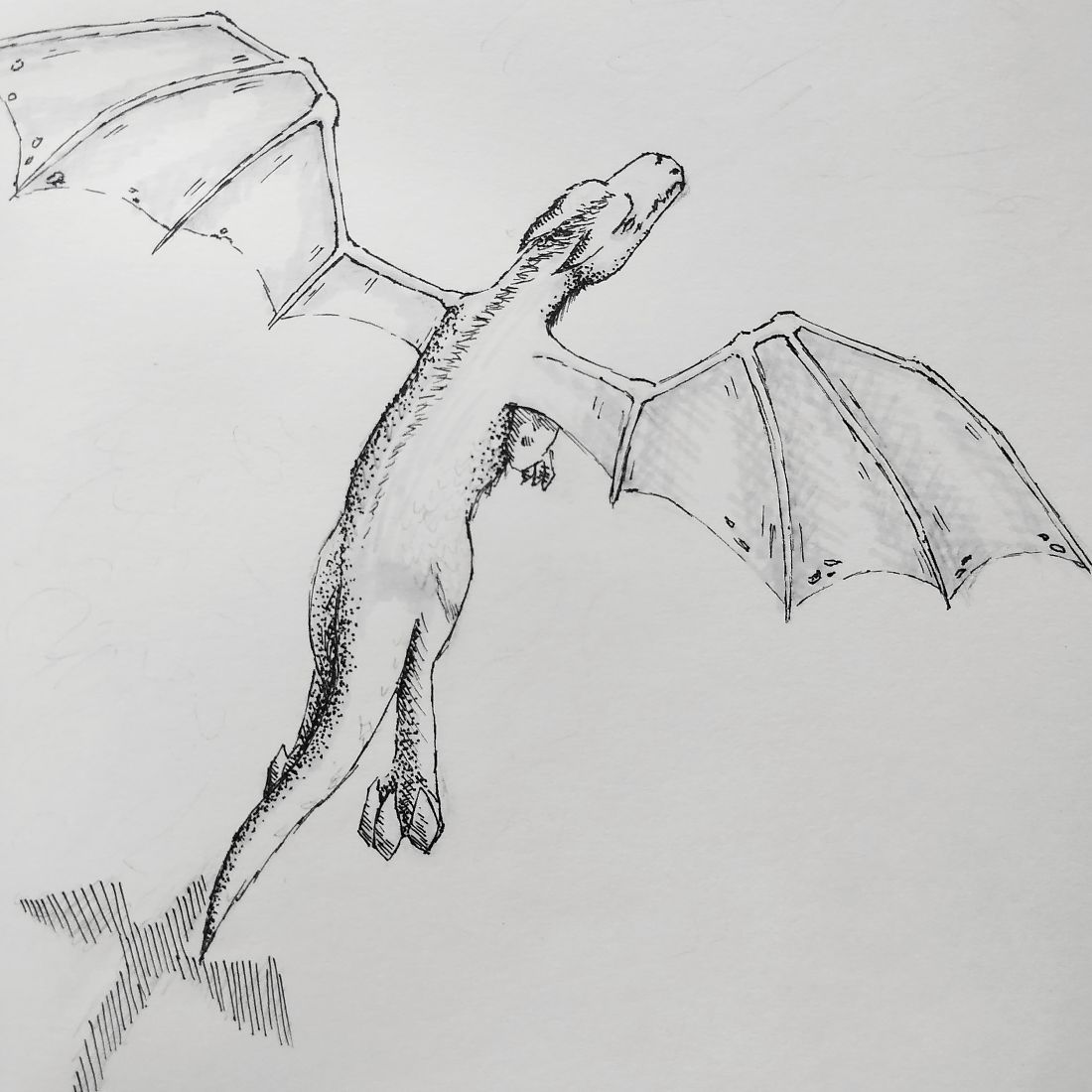 Day 12: Dragon